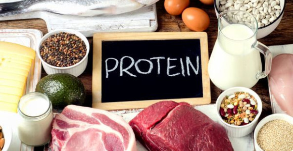 Manje proteina – duži život?