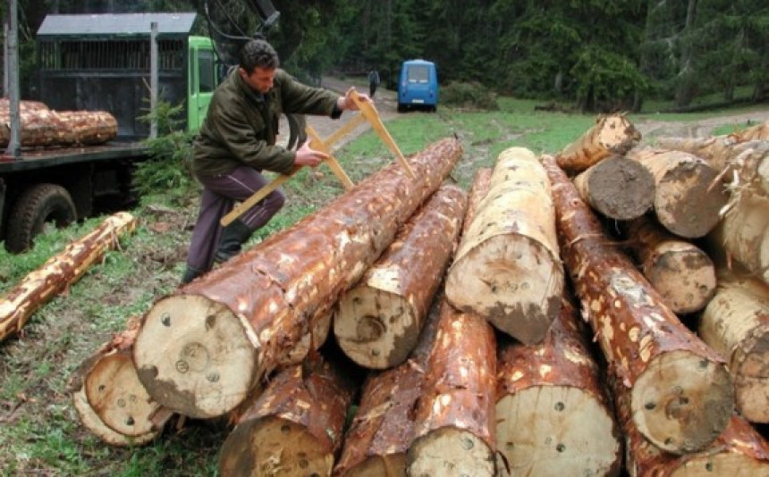 Шуме Српске запошљавају раднике