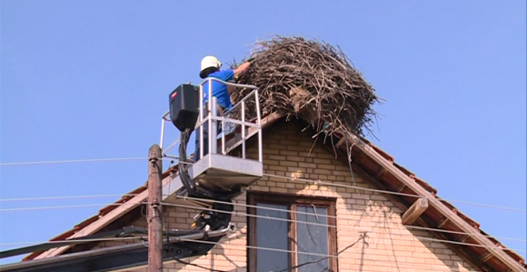 Rode dolaze u Semberiju 