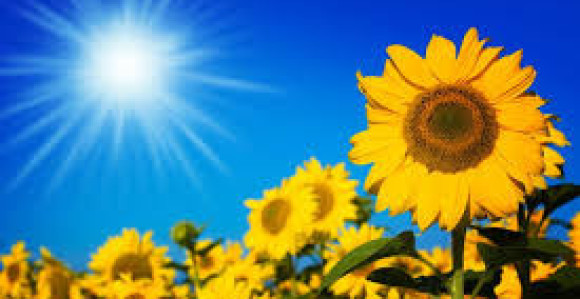 Tokom dana biće više sunca u BiH