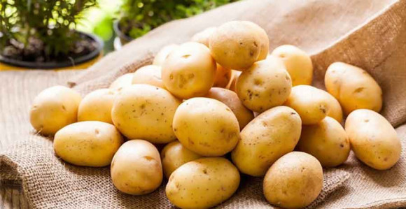 Zabranjen uvoz 21 tona krompira