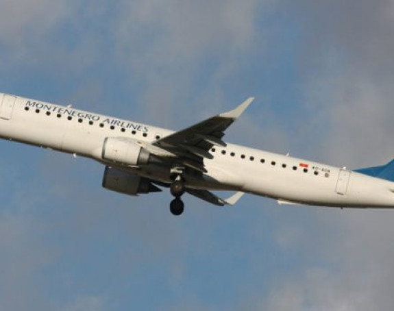 Ptica usporila avio-saobraćaj