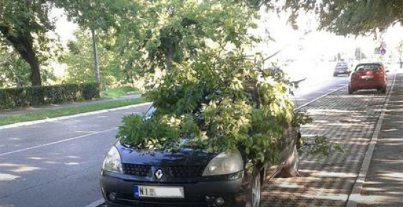  S jedne strane Nišlija, s druge Beograđanin