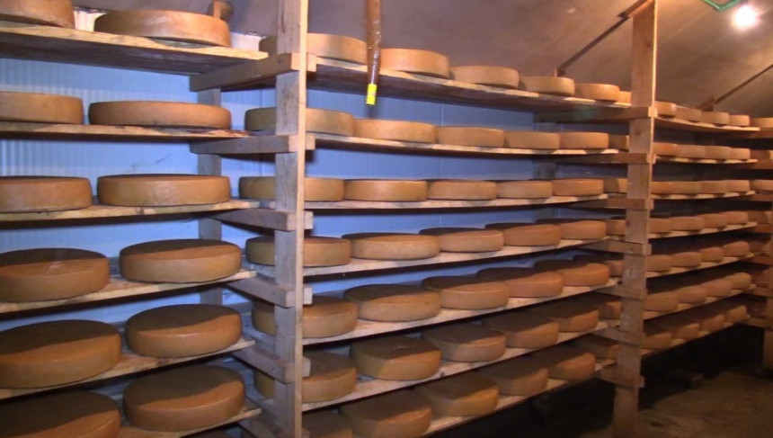 U selu Zavajtu prave "švajcarski" sir