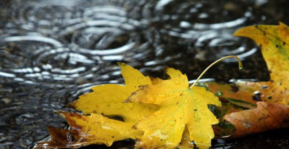 Danas temperature do 20 stepeni