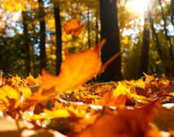 Danas sunčano i toplo vrijeme, temperatura 25