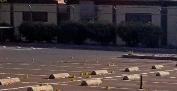 САД: Пуцњава код школе, убијена два дјечака