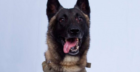 Трамп одликовао пса Конана медаљом