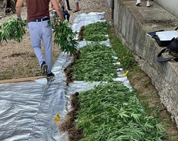 Policija ne zna čijih je 65 kg marihuane