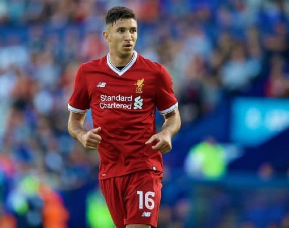 Grujića žele Aston Vila, Svonsi, Galata, Fener...!