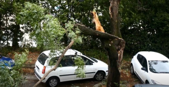 Orkanska bura nosila stabla