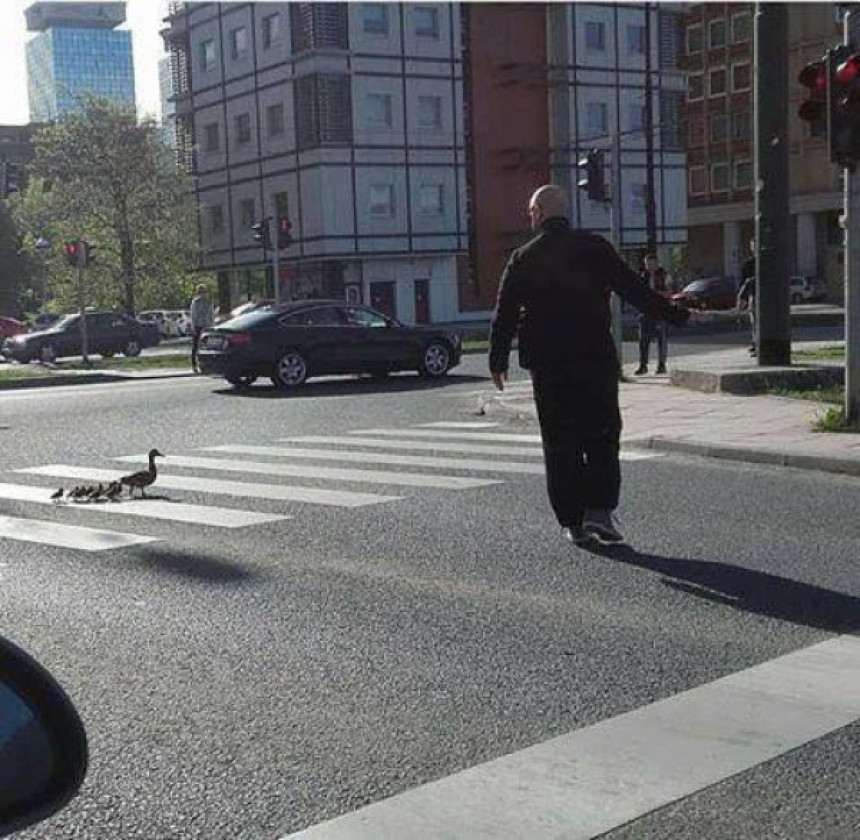 Pačija porodica šetala Sarajevom