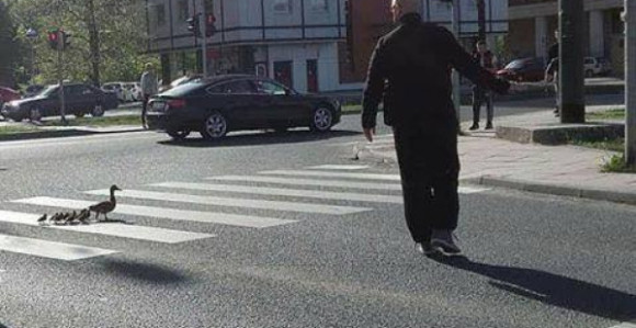 Pačija porodica šetala Sarajevom