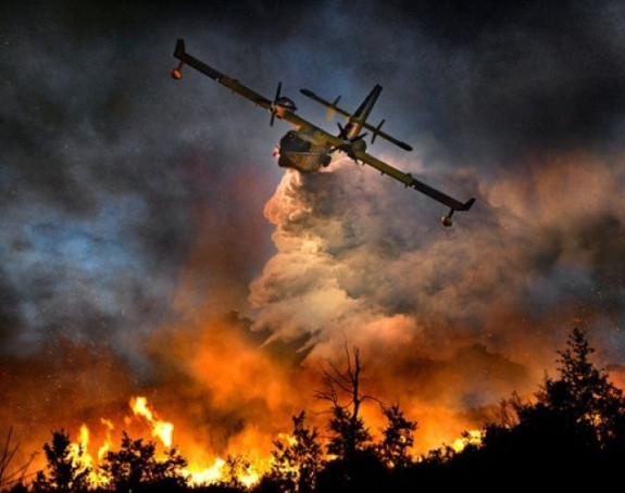 Kako zaraditi milione na štetočinama?