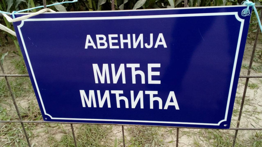Kreativni građani: “Avenija Mićića“