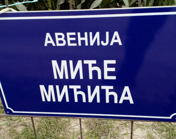 Kreativni građani: “Avenija Mićića“