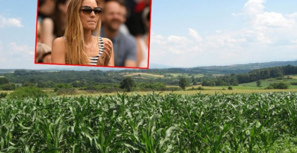 Pokušana otmica Jeleninog djeda