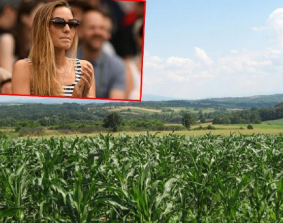Pokušana otmica Jeleninog djeda