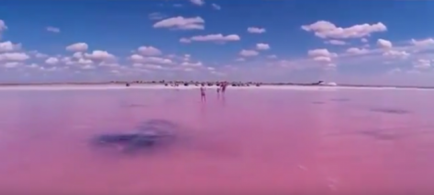 Ово језеро сваког августа постаје розе