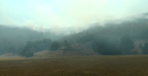 Više požara u Hercegovini