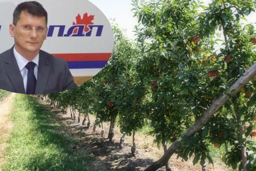 Sve je stalo osim Dodikovog voća