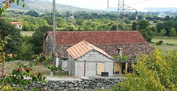 Blizanci zajedno otišli u smrt