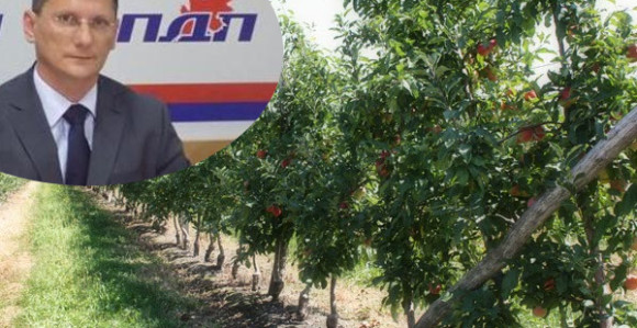 Sve je stalo osim Dodikovog voća