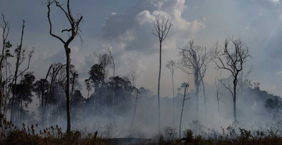 Лидери одлучили: 20 милиона долара за помоћ Амазонији