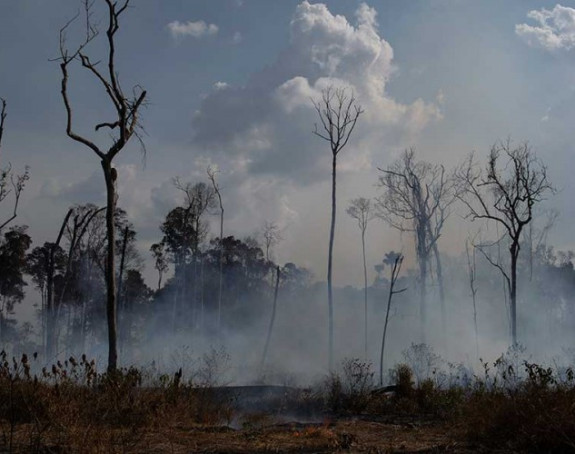 Lideri odlučili: 20 miliona dolara za pomoć Amazoniji