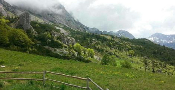 Ruskinja zalutala na planini Maglić 