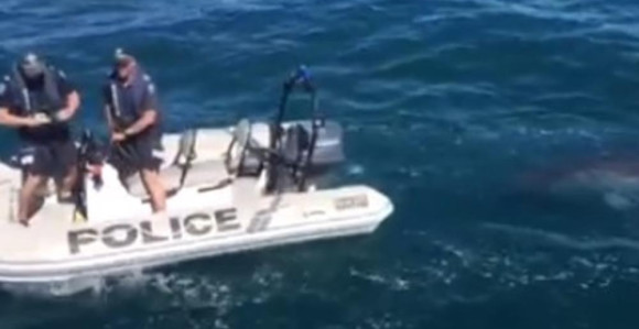  U čamcu našli 1,7 tona marihuane