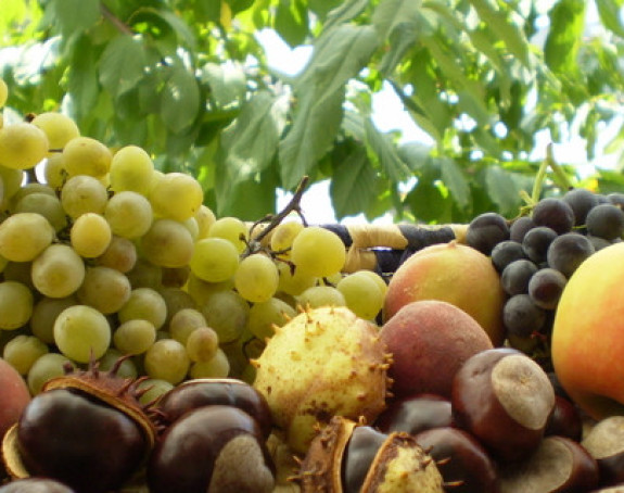 Tokom dana sunčano vrijeme