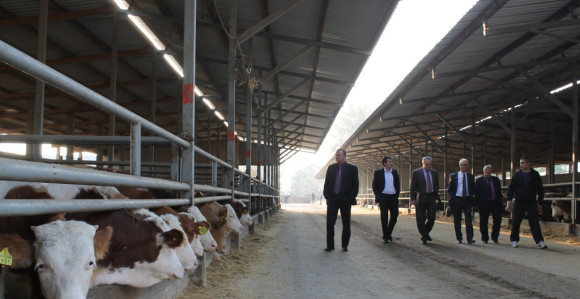 PD  "Semberija" prodaje imovinu