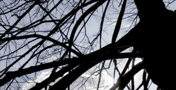 Danas toplije i umjereno oblačno