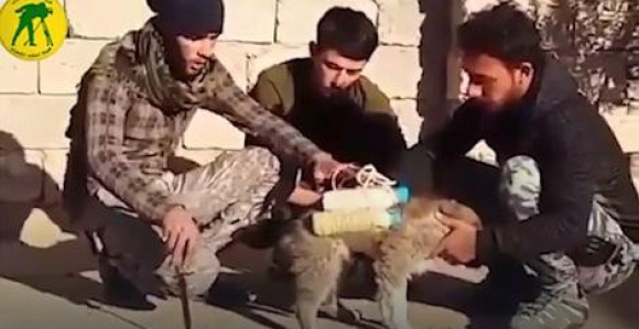 ISIS u pohode šalje pse sa eksplozivom