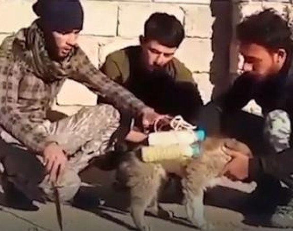 ISIS u pohode šalje pse sa eksplozivom