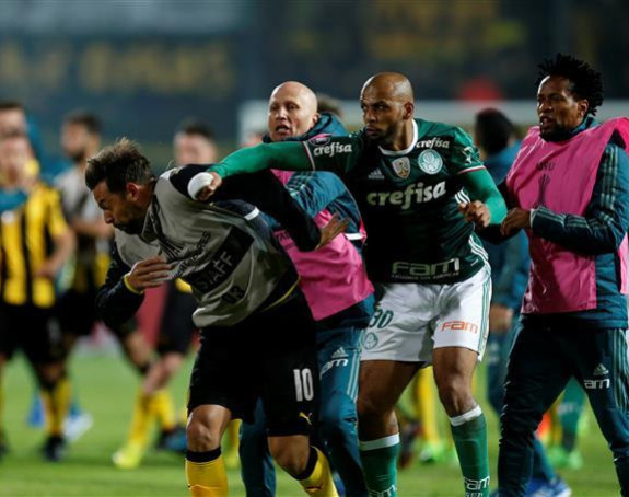 Video: Montevideo, đavo ga odneo!