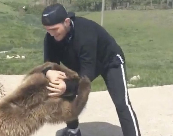 Video: Nurmagomedov protiv medvjeda - 2. runda!