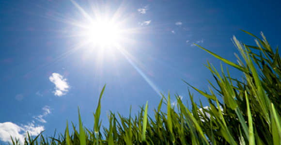 Sutra sunčano i toplo