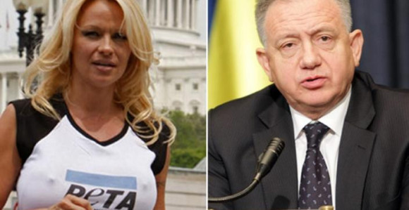 Pamela apelovala na bosanske političare