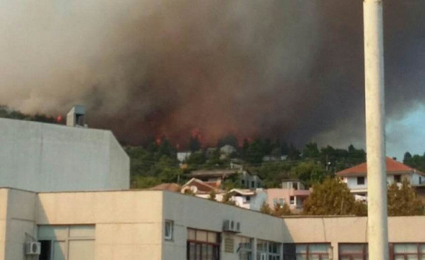 Ulcinj: Hapšenja zbog izazivanja požara