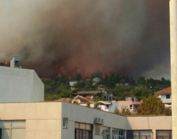 Ulcinj: Hapšenja zbog izazivanja požara