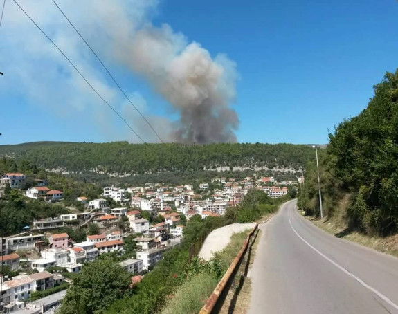 Evakuacija u Ulcinju: Požar van kontrole