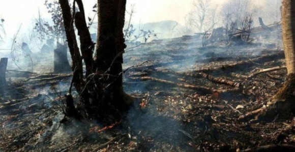 Gori jug: Vatra ide ka selima