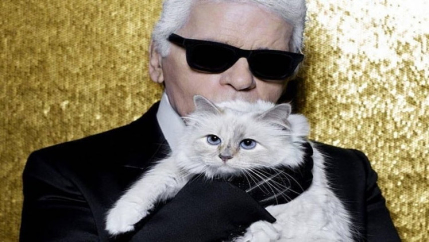 Borba za Šupet - mačku čuvenog Karla Lagerfelda