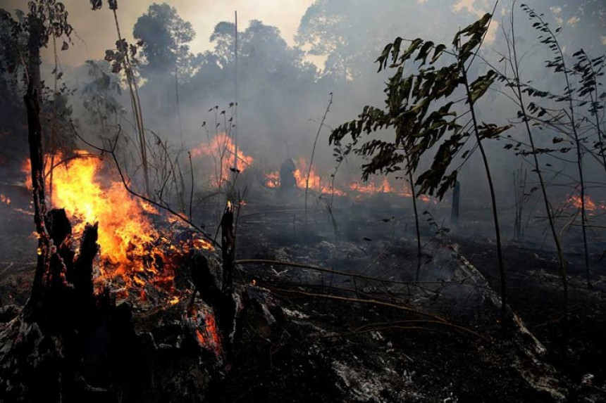 АМАЗОНИЈА ГОРИ: Пожари још нису под контролом