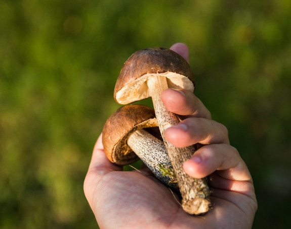 Osam lica se otrovalo gljivama   