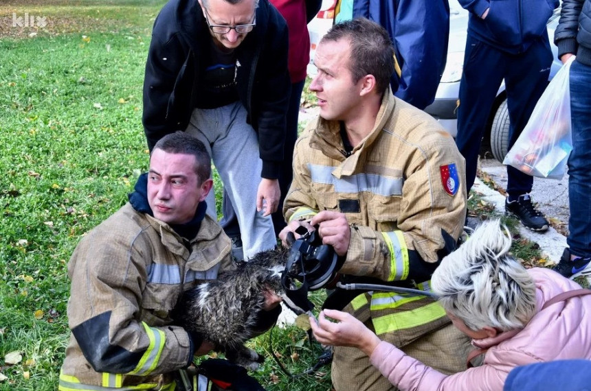 Hrabri vatrogasci oživjeli i mačku