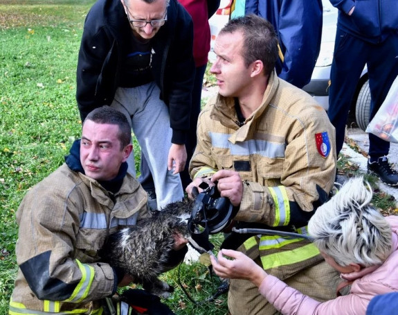 Hrabri vatrogasci oživjeli i mačku