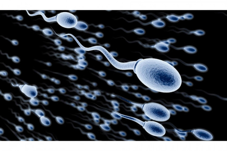 Naučnici napravili spermu u laboratoriji